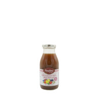 Apfel & gemischte Früchte mit Ingwer 100% - 250 ml - Glas